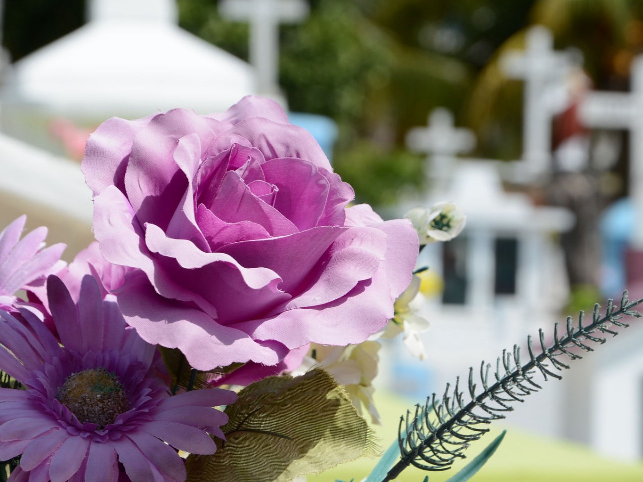 zakład pogrzebowy ziębice